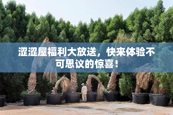 涩涩屋福利大放送，快来体验不可思议的惊喜！