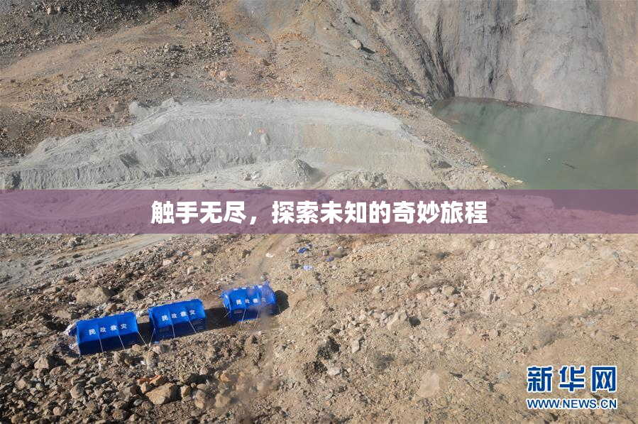 触手无尽，探索未知的奇妙旅程