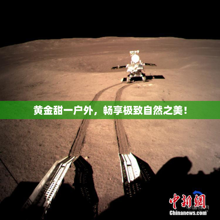 黄金甜一户外，畅享极致自然之美！