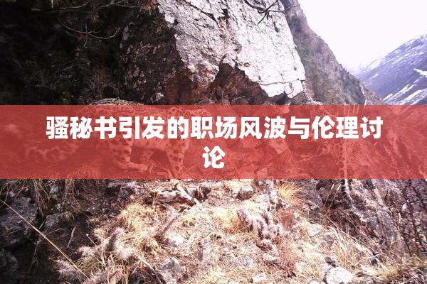 骚秘书引发的职场风波与伦理讨论