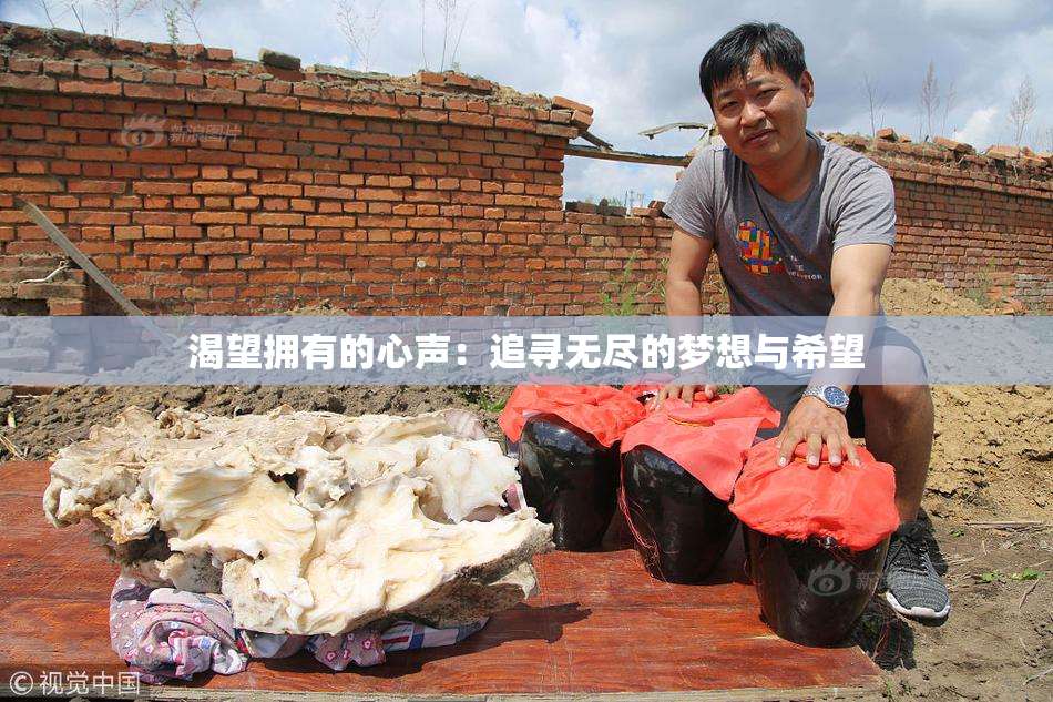 渴望拥有的心声：追寻无尽的梦想与希望