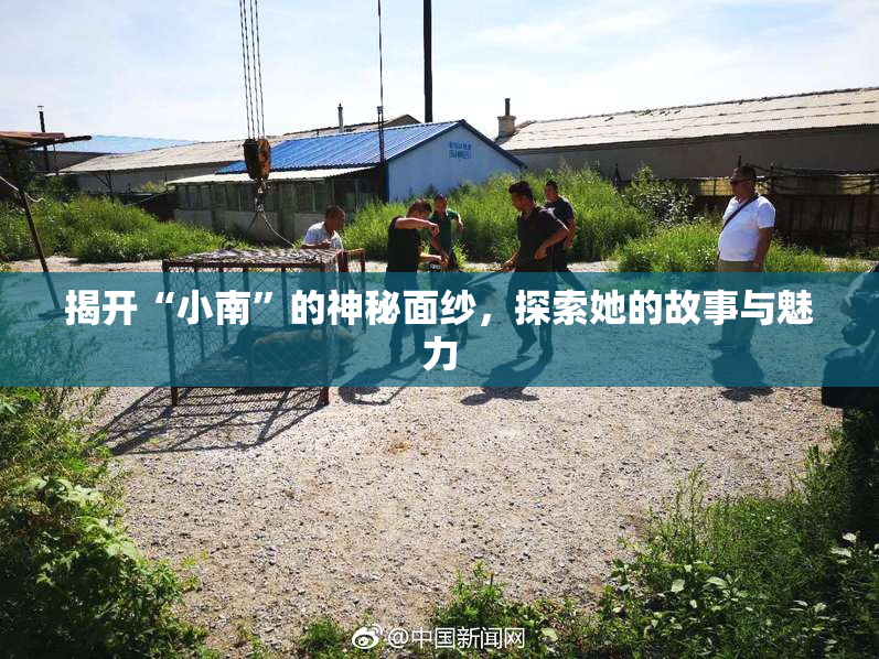 揭开“小南”的神秘面纱，探索她的故事与魅力