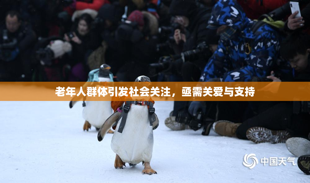 老年人群体引发社会关注，亟需关爱与支持