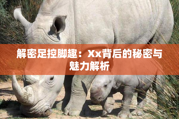 解密足控脚趣：Xx背后的秘密与魅力解析