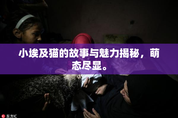 小埃及猫的故事与魅力揭秘，萌态尽显。