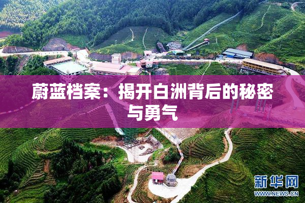 蔚蓝档案：揭开白洲背后的秘密与勇气