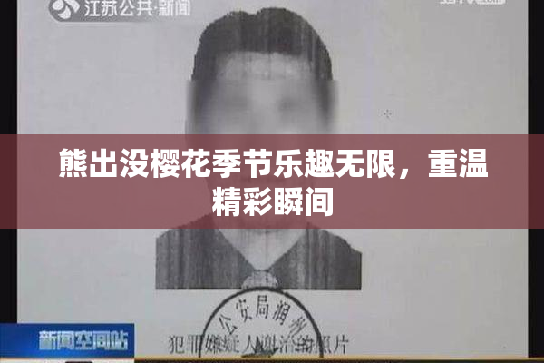 熊出没樱花季节乐趣无限，重温精彩瞬间