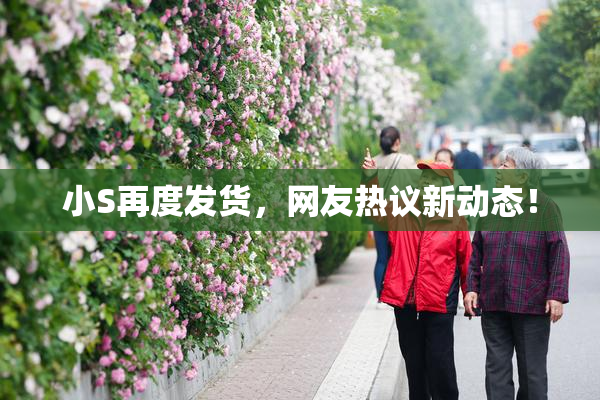 小S再度发货，网友热议新动态！