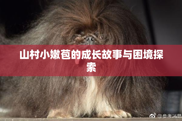 山村小嫩苞的成长故事与困境探索