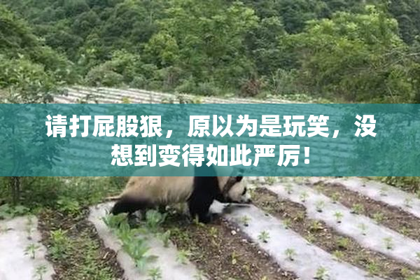 请打屁股狠，原以为是玩笑，没想到变得如此严厉！