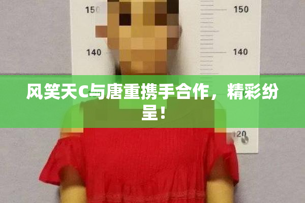风笑天C与唐重携手合作，精彩纷呈！