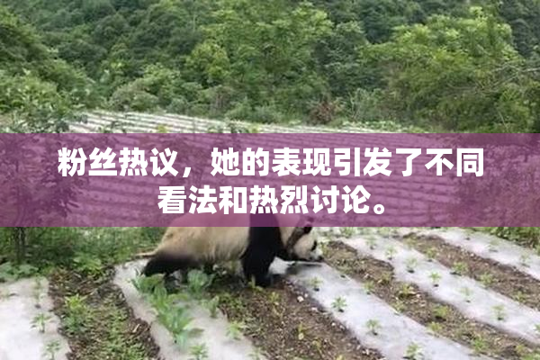 粉丝热议，她的表现引发了不同看法和热烈讨论。