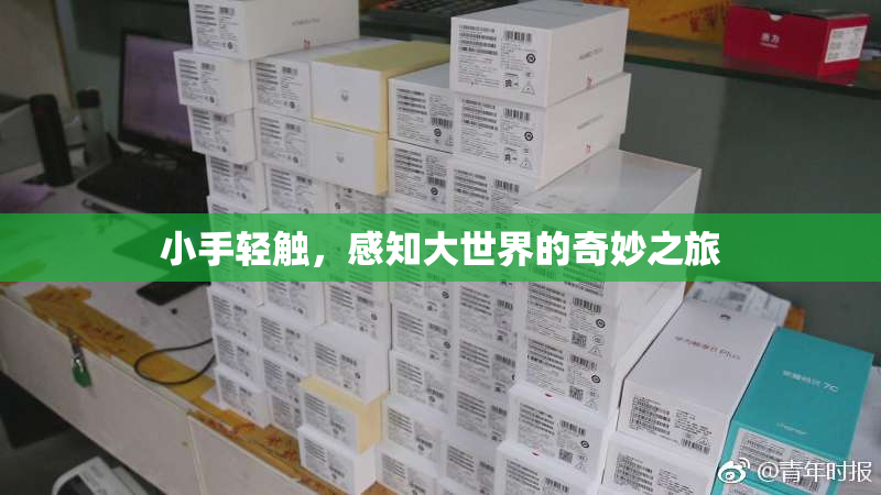 小手轻触，感知大世界的奇妙之旅