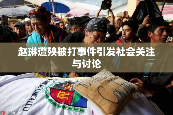 赵琳遭殃被打事件引发社会关注与讨论