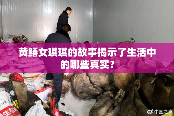 黄鳝女琪琪的故事揭示了生活中的哪些真实？