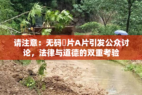 请注意：无码婬片A片引发公众讨论，法律与道德的双重考验