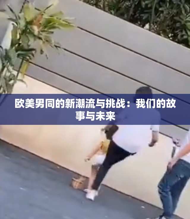 欧美男同的新潮流与挑战：我们的故事与未来