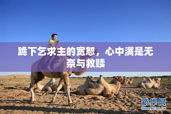 跪下乞求主的宽恕，心中满是无奈与救赎