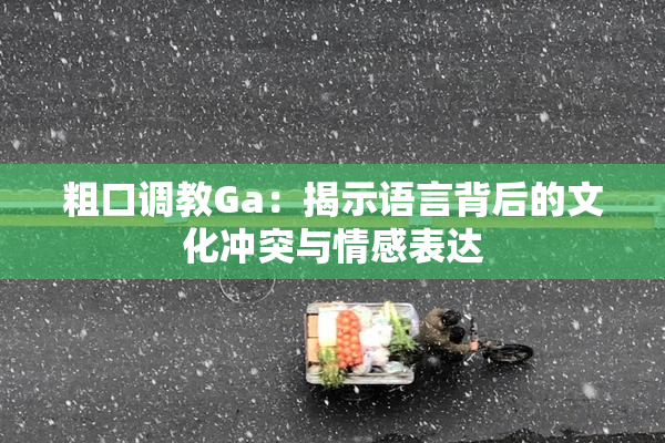 粗口调教Ga：揭示语言背后的文化冲突与情感表达