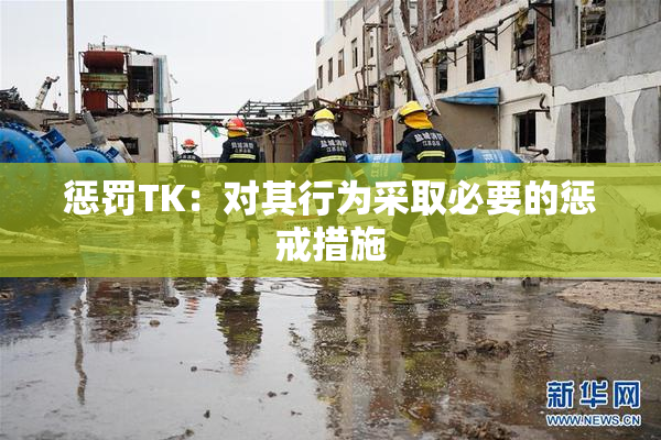 惩罚TK：对其行为采取必要的惩戒措施