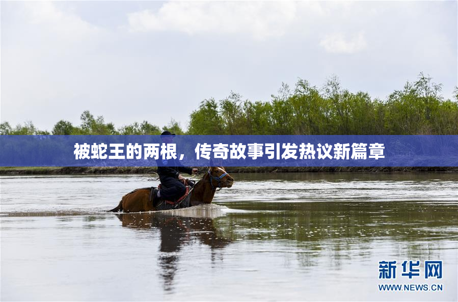 被蛇王的两根，传奇故事引发热议新篇章