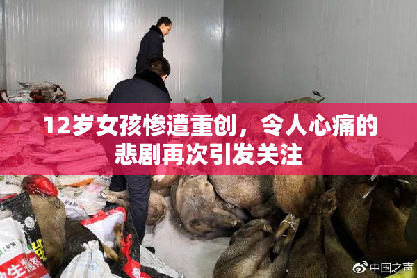 12岁女孩惨遭重创，令人心痛的悲剧再次引发关注