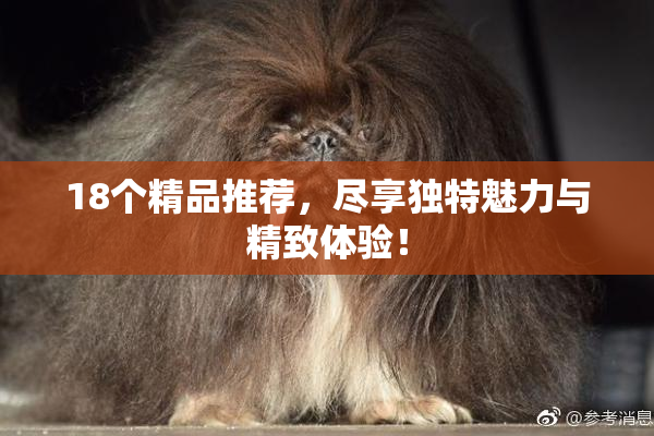 18个精品推荐，尽享独特魅力与精致体验！