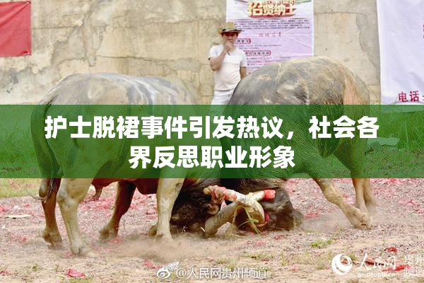 护士脱裙事件引发热议，社会各界反思职业形象