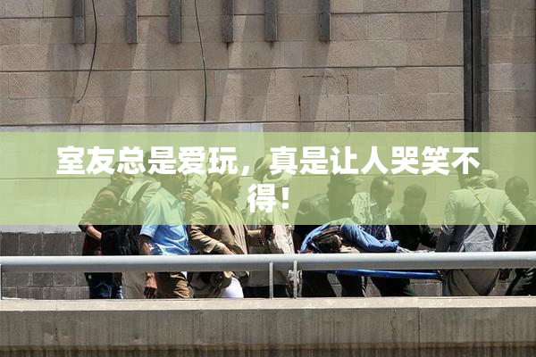 室友总是爱玩，真是让人哭笑不得！
