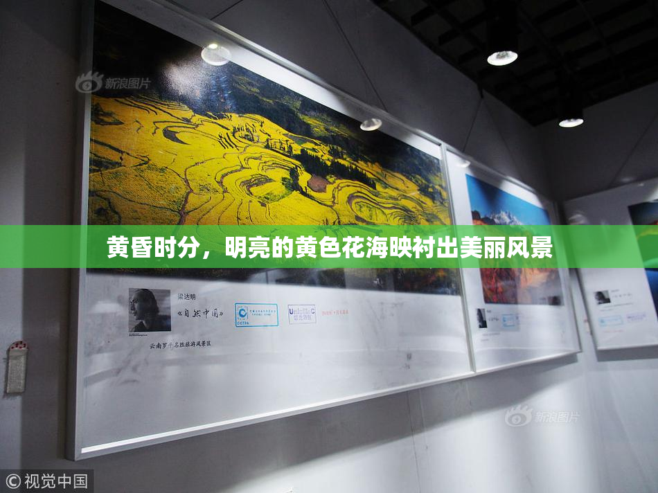 黄昏时分，明亮的黄色花海映衬出美丽风景