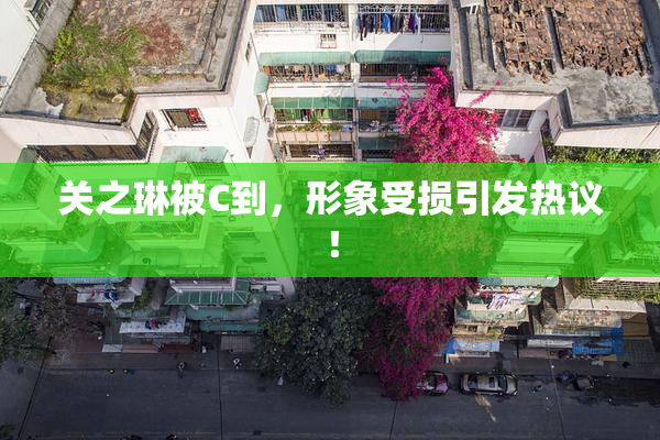 关之琳被C到，形象受损引发热议！