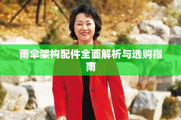 雨伞架构配件全面解析与选购指南