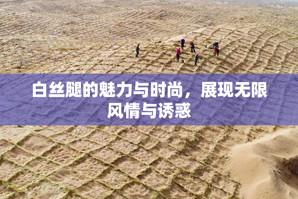 白丝腿的魅力与时尚，展现无限风情与诱惑