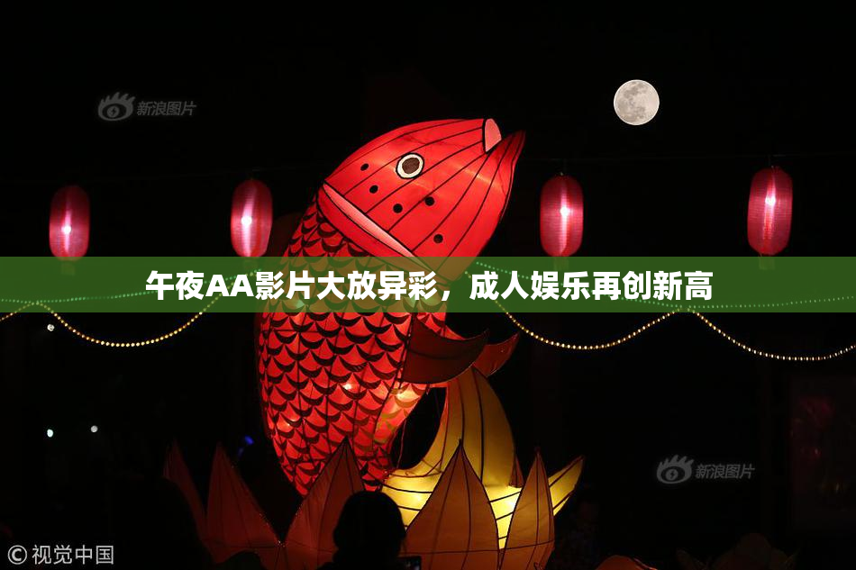 午夜AA影片大放异彩，成人娱乐再创新高