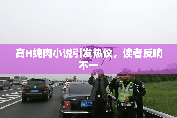 高H纯肉小说引发热议，读者反响不一