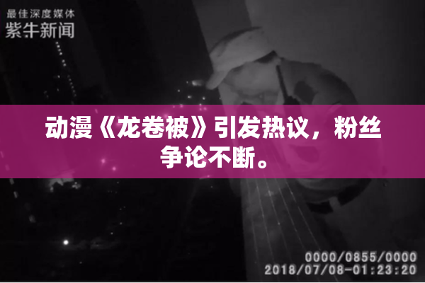 动漫《龙卷被》引发热议，粉丝争论不断。