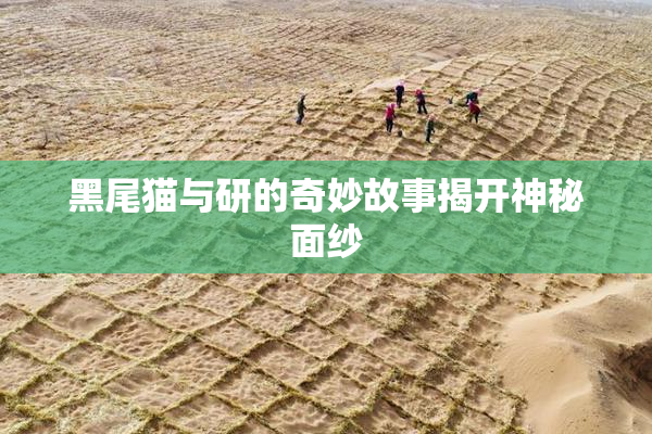 黑尾猫与研的奇妙故事揭开神秘面纱