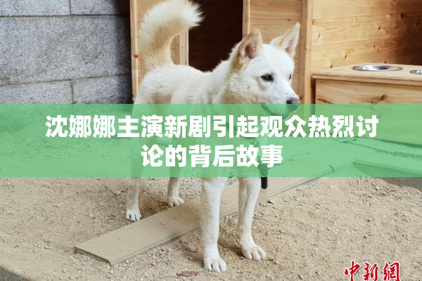 沈娜娜主演新剧引起观众热烈讨论的背后故事