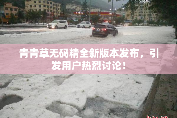 青青草无码精全新版本发布，引发用户热烈讨论！