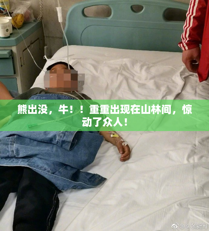 熊出没，牛！！重重出现在山林间，惊动了众人！