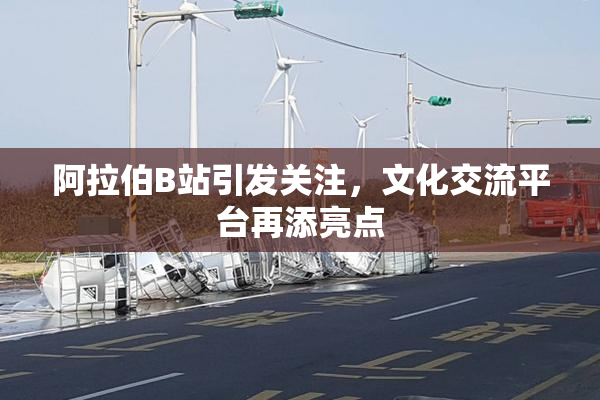 阿拉伯B站引发关注，文化交流平台再添亮点