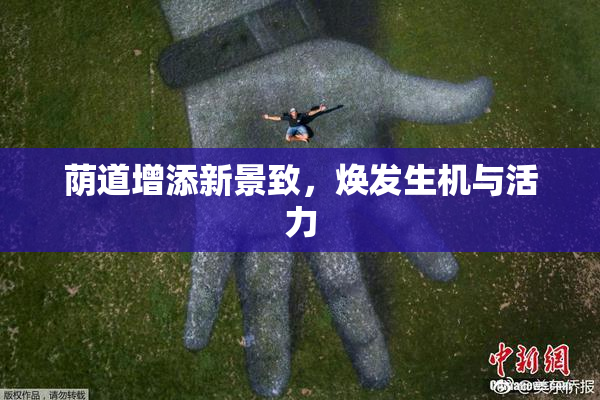 荫道增添新景致，焕发生机与活力