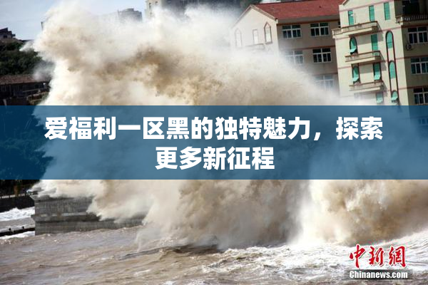 爱福利一区黑的独特魅力，探索更多新征程