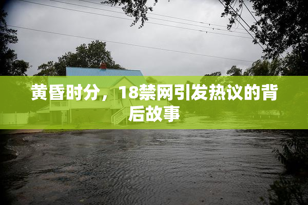 黄昏时分，18禁网引发热议的背后故事