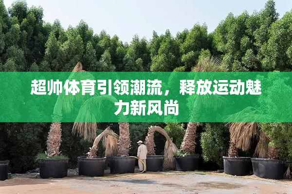 超帅体育引领潮流，释放运动魅力新风尚