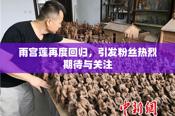 雨宫莲再度回归，引发粉丝热烈期待与关注