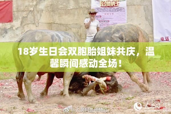 18岁生日会双胞胎姐妹共庆，温馨瞬间感动全场！