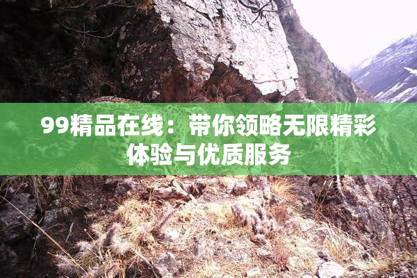 99精品在线：带你领略无限精彩体验与优质服务