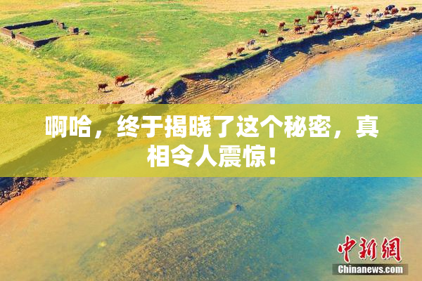 啊哈，终于揭晓了这个秘密，真相令人震惊！