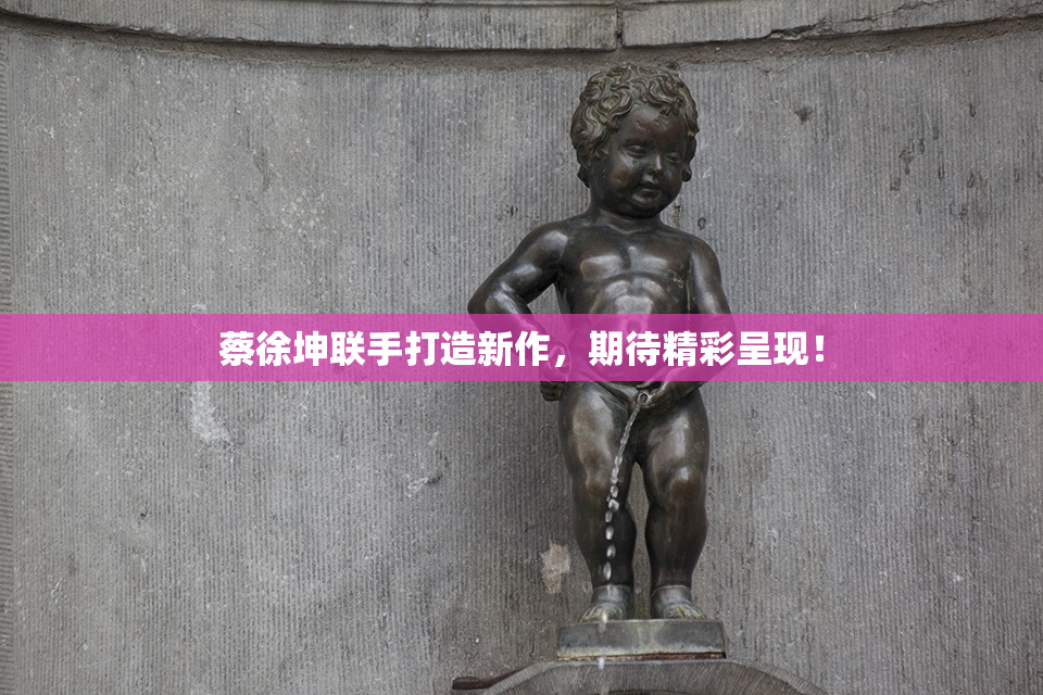 蔡徐坤联手打造新作，期待精彩呈现！